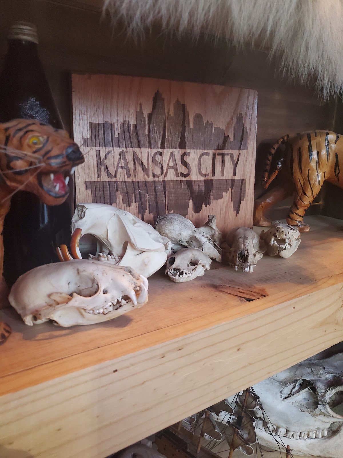 Steel Panther Tattoo, tattoo shop in Kansas City, MO