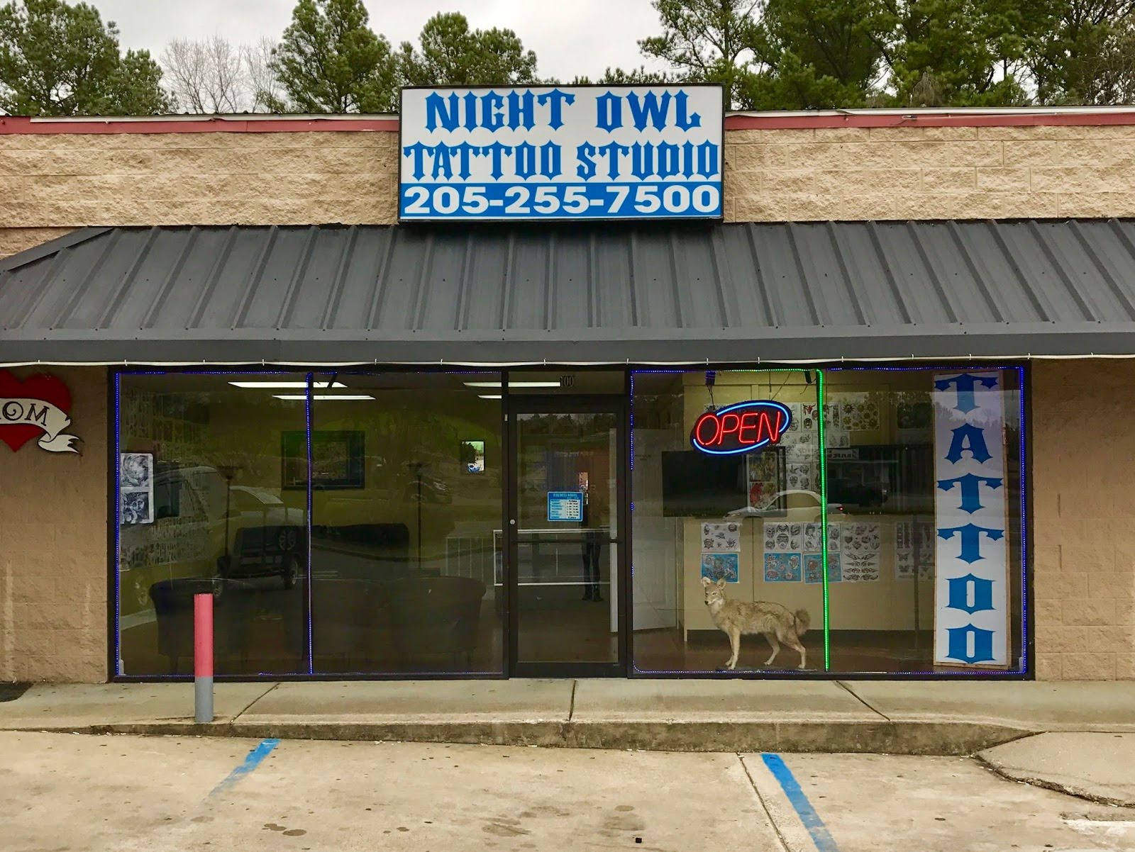 Night Owl Tattoo Studio, tattoo shop in Jasper, AL