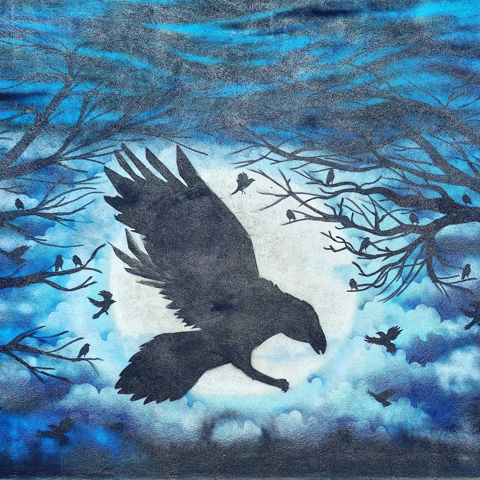 Black Crow Tattoo Studio, tattoo shop in Tucson, AZ