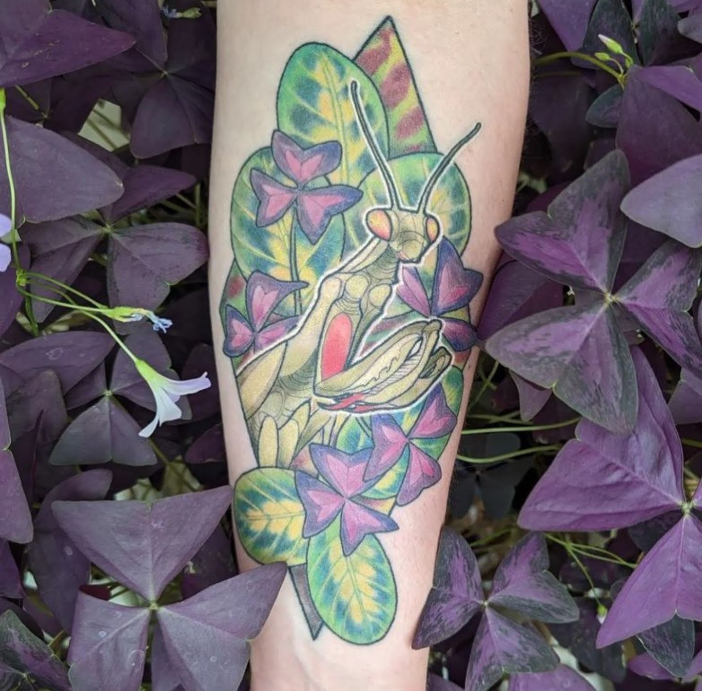 Locust Tattoo, tattoo shop in Salt Lake City, UT