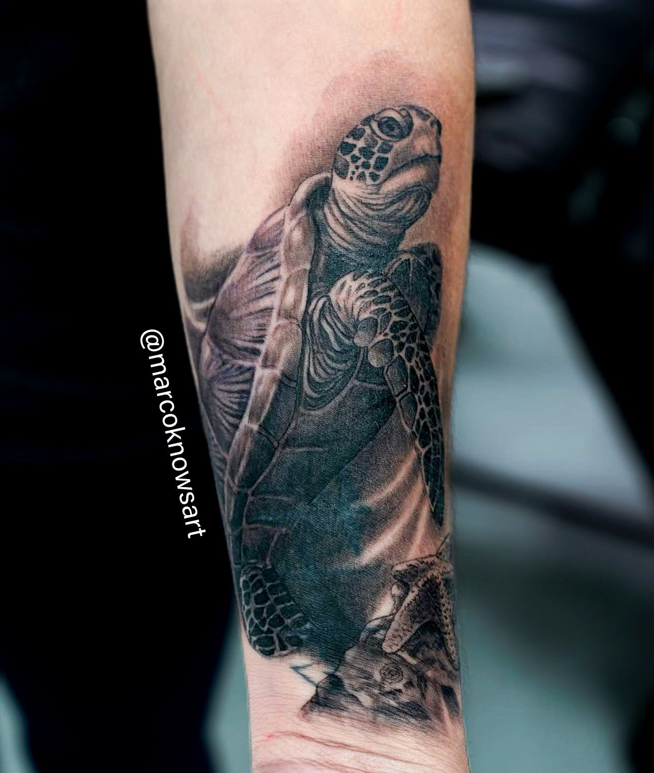 Stand Out Tattoos, tattoo shop in Winter Park, FL