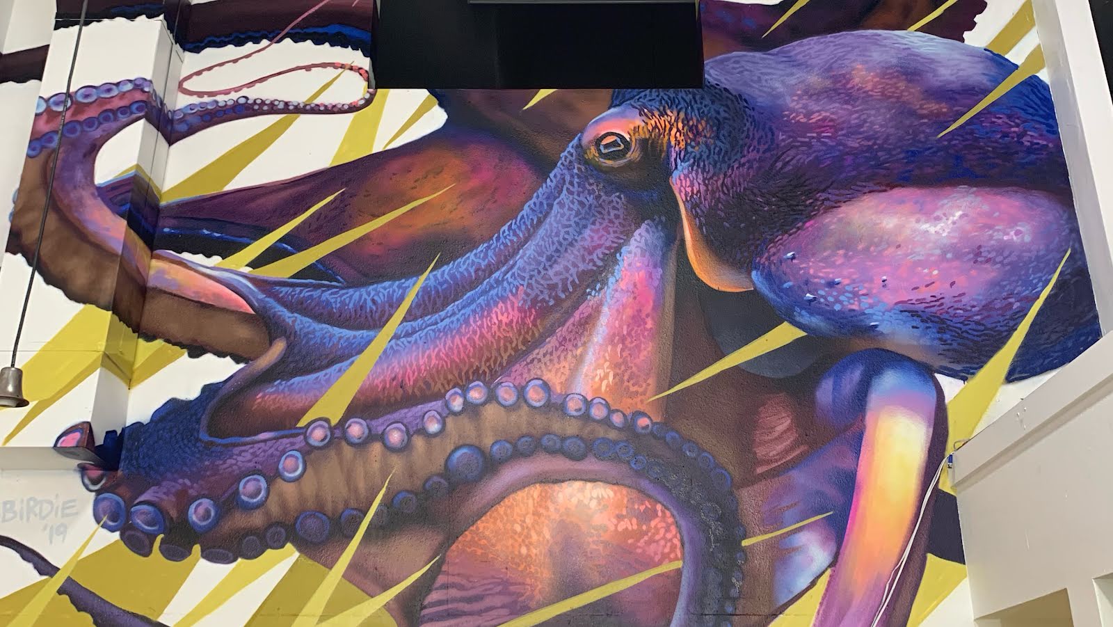 Out of Step Tattoo & Gallery, tattoo shop in Eugene, OR