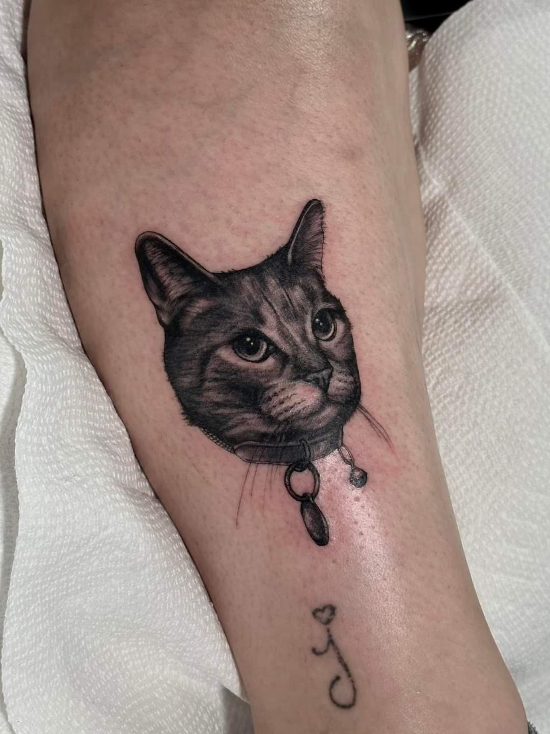 Purgatory Tattoo Company & Art Gallery, tattoo shop in Hollywood, FL