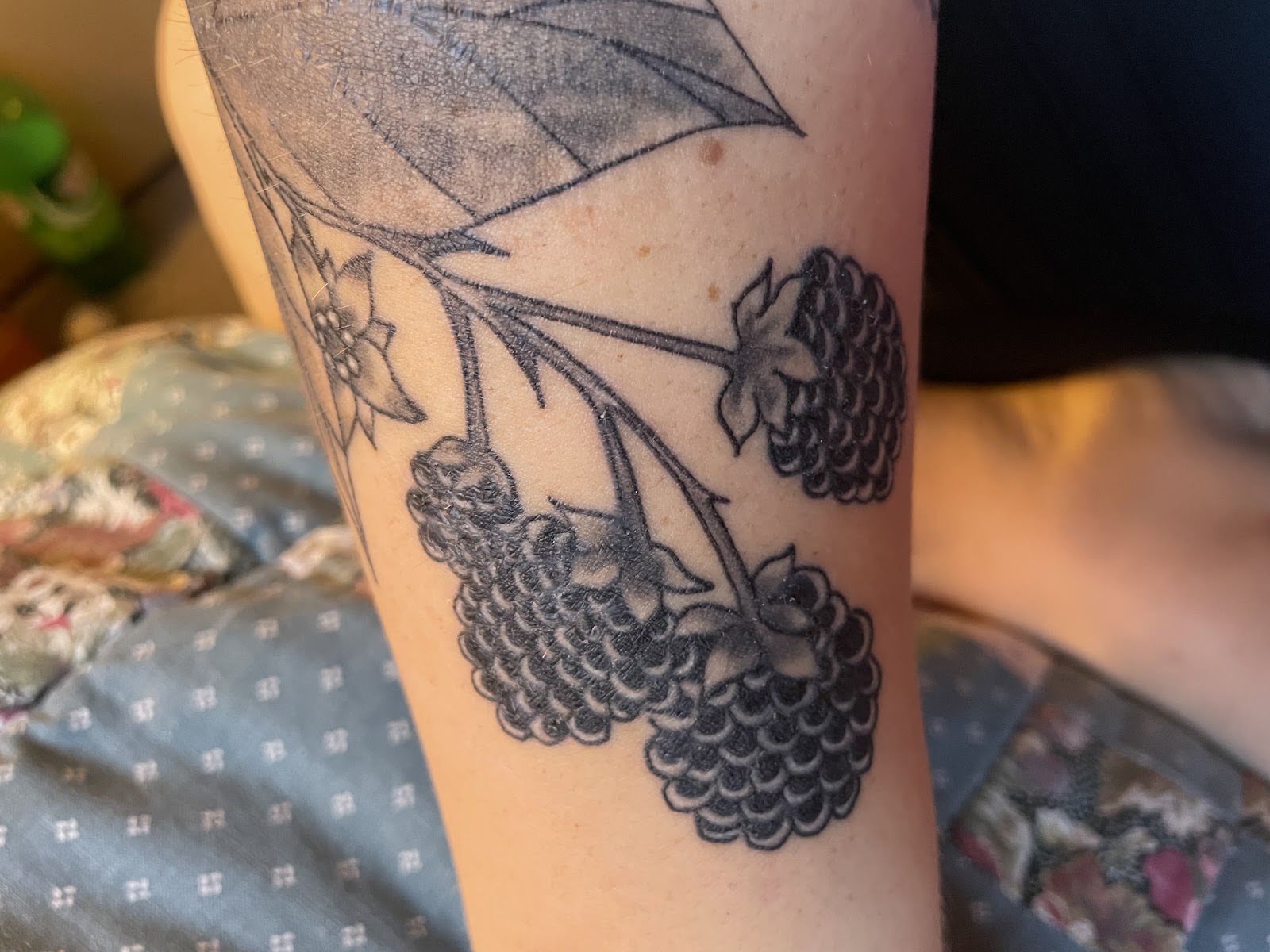 Majin Ink Tattoo, tattoo shop in Albany, OR