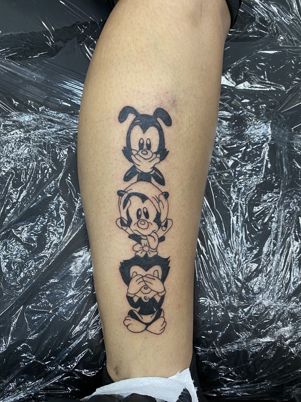 Ink kings tattoo studio, tattoo shop in San Jacinto, CA