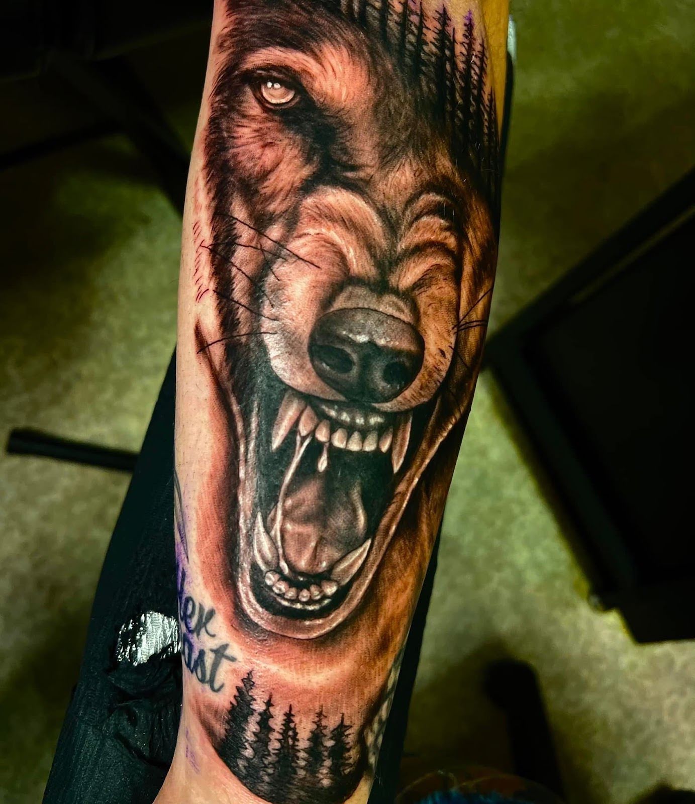Elysian Ink Tattoo Lounge, tattoo shop in Eagle Bridge, NY