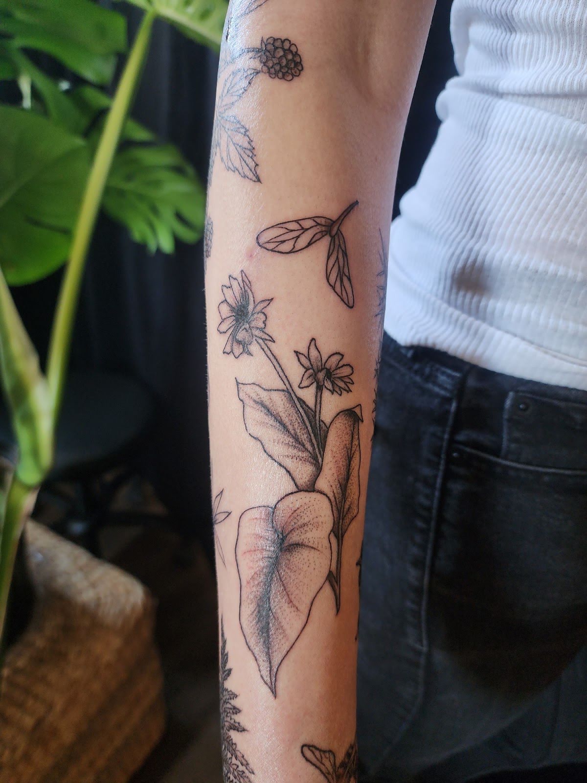 Velvet Soul, tattoo shop in Spokane Valley, WA