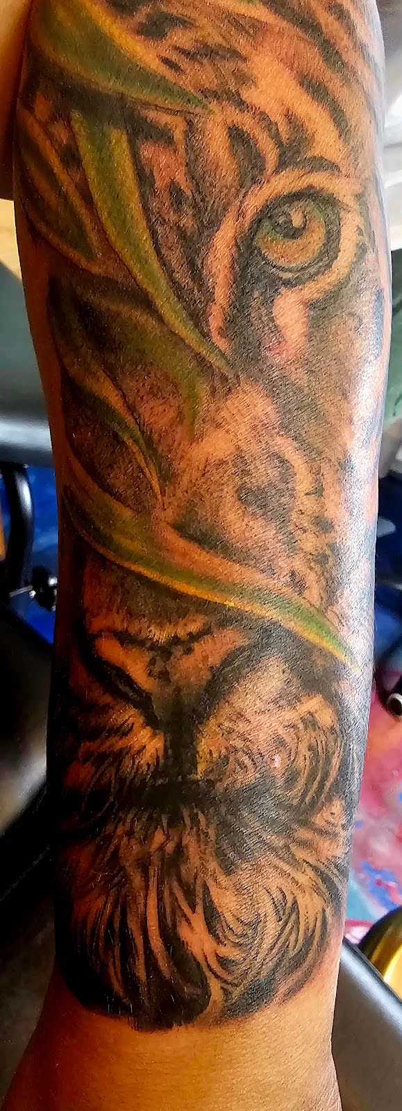 High Art Tattoo, tattoo shop in St. Petersburg, FL