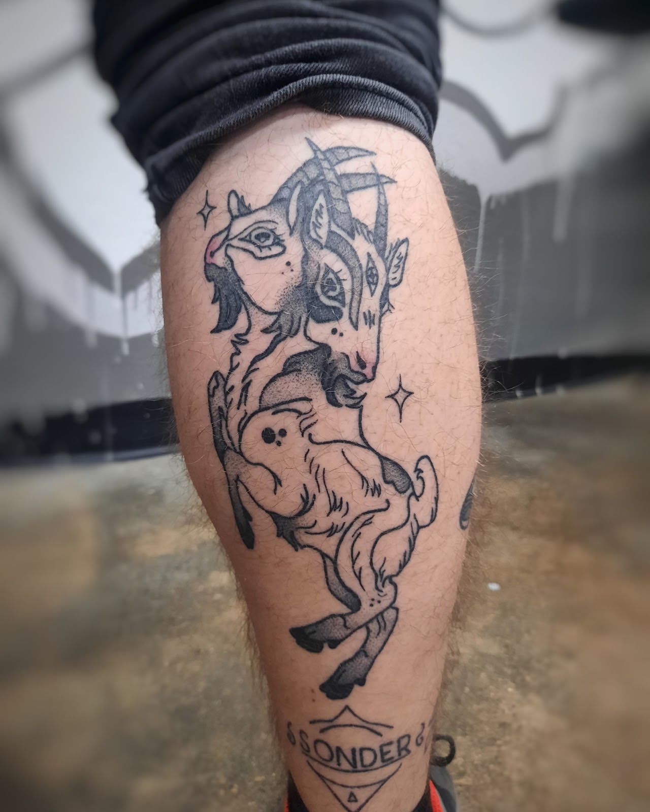 Ciarra Ann Tattoos, tattoo shop in Zumbrota, MN