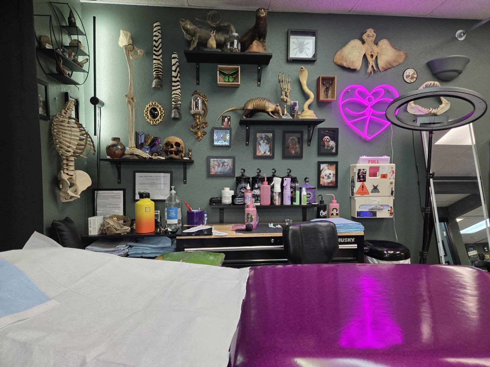 Black Dahlia Tattoo, tattoo shop in Ankeny, IA