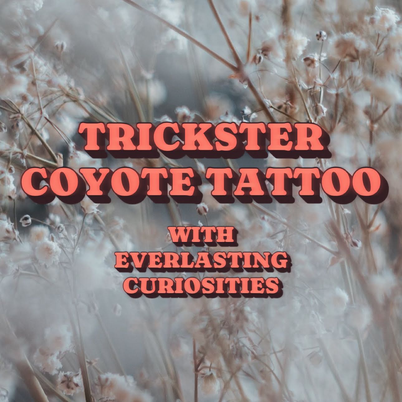 Trickster Coyote Tattoo, tattoo shop in Versailles, KY