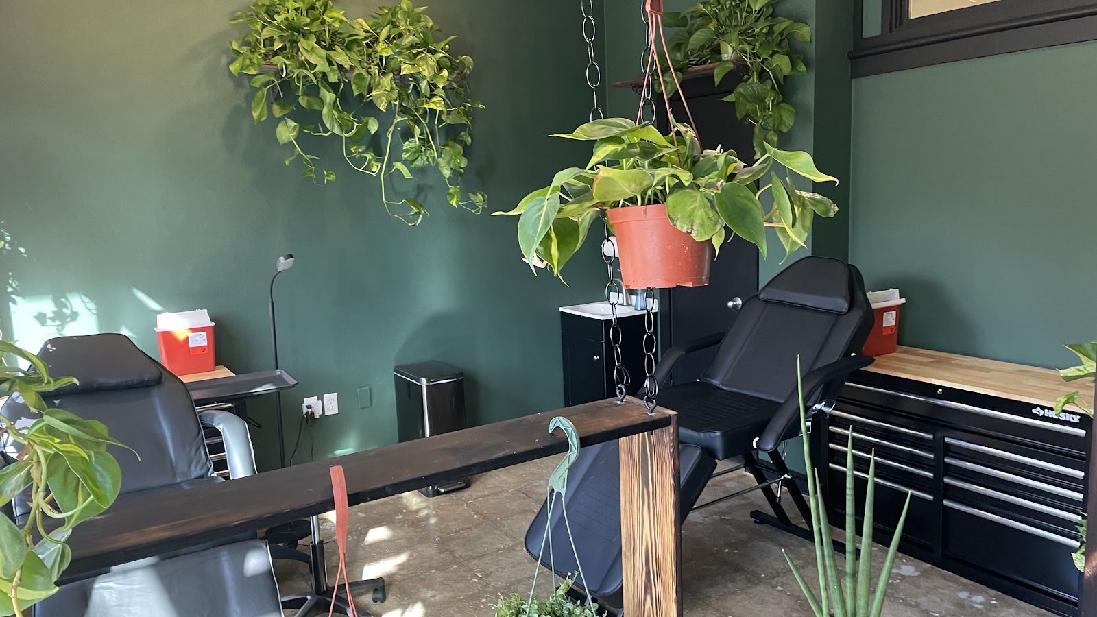 Wild Vine Ink, tattoo shop in Boulder, CO