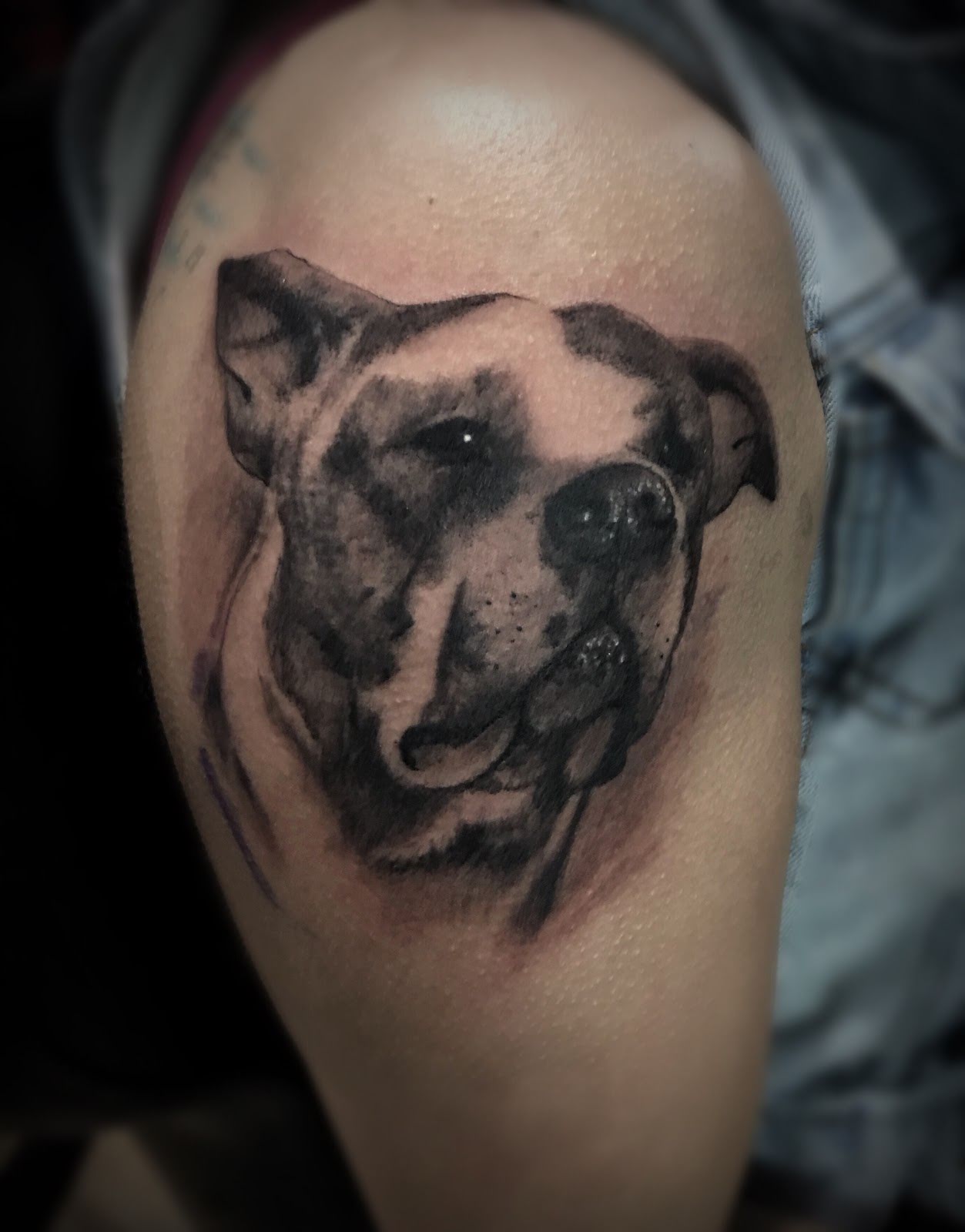 Hard Knox Tattoo, tattoo shop in Yonkers, NY
