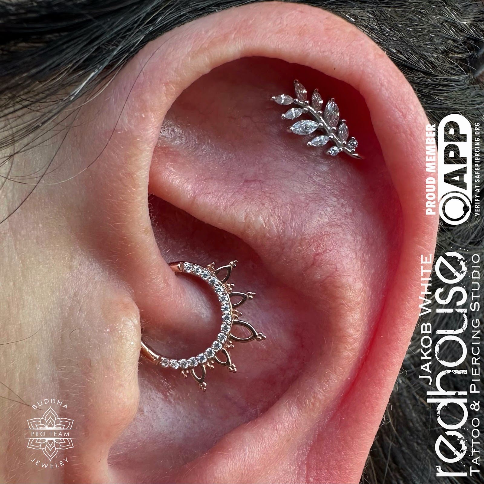 RedHouse Tattoo & Piercing Studio, tattoo shop in Depew, NY