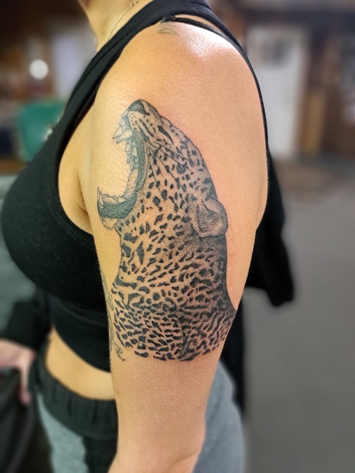 Tattoo Odyssey Inc, tattoo shop in Philadelphia, PA