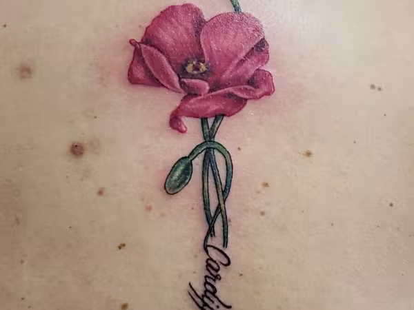 Electric Sting Tattooing Studio, tattoo shop in Maryville, TN